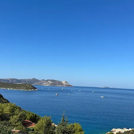 Kaktus Suites